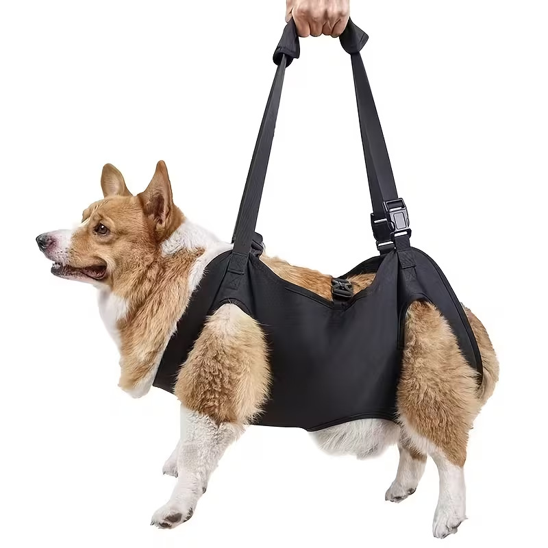 Full Body Support Lifting Harness ปรับ Breathable สําหรับ Injured อาวุโส Disabled สัตว์เลี้ยง Mobility Aid ขนาด:XL 28-38 กก.
