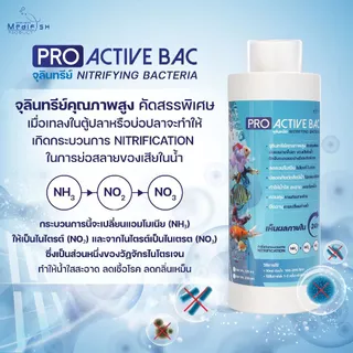 PRO ACTIVE BAC จุลินทรีย์น้ำใส Nitrifying Bacteria ย่อยของเสีย ลดแอมโมเนีย ลดเชื้อโรค สำหรับตู้ปลา/บ่อปลา [120/250 ml]
