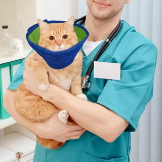 Soft Cone Recovery Collar ปรับระบายอากาศได้ – ปลอกคอสุนัข & ปลอกคอแมว & สายจูงสุนัขสําหรับสัตว์เลี้ยงหลังการผ่าตัด