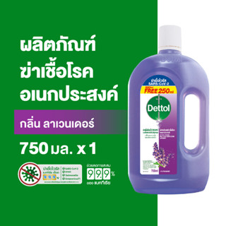 Dettol เดทตอล น้ำยาฆ่าเชื้อเดทตอล น้ำยาฆ่าเชื้อโรค ไฮยีนมัลต…