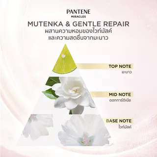 แพนทีน มิราเคิล บอนด์ รีแพร์ ครีมนวดผม 440มล. Pantene Miracles Bond Repair Conditioner 440 ml.