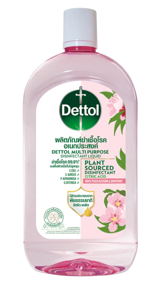 Dettol เดทตอล น้ำยาฆ่าเชื้อเดทตอล น้ำยาฆ่าเชื้อโรค สูตรใหม่ สูตรทำจากธรรมชาติ กลิ่นบลอสซัม แอนด์ เกรปฟรุต 1,000มล.X1