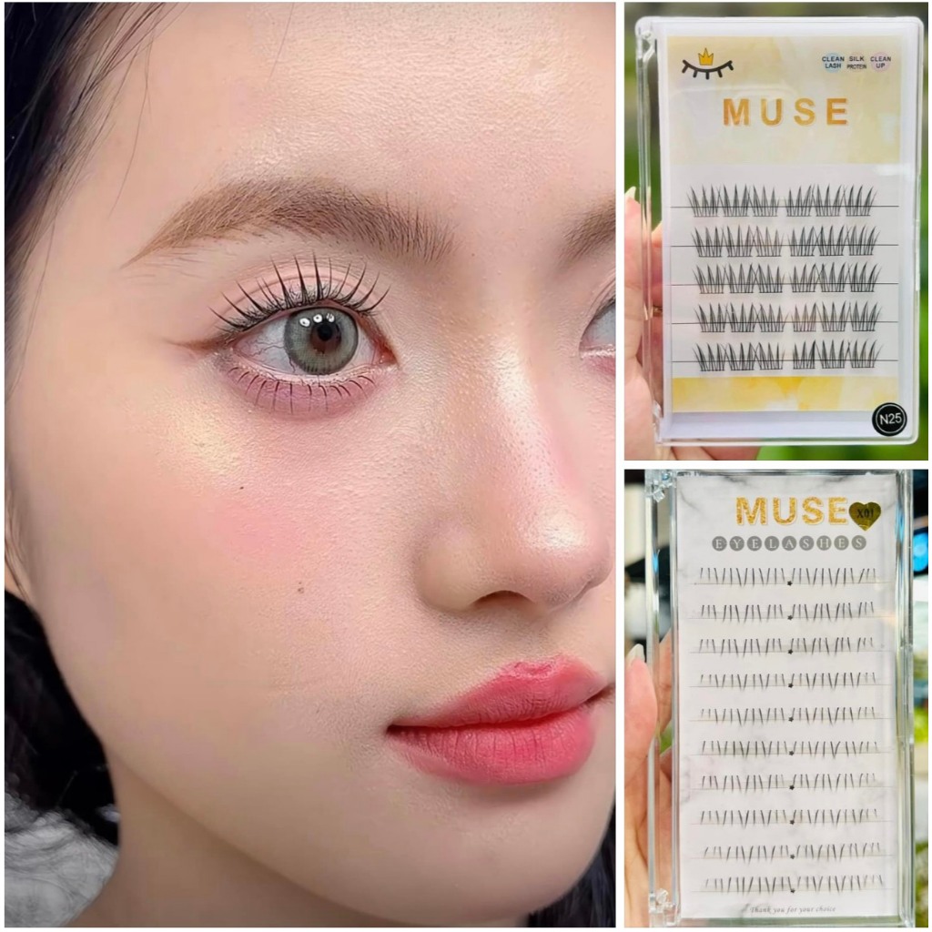 Muse Loose Volume Lash Tray (10 แถว) – จัดหาขนตาส่วนบุคคลระดับมืออาชีพ