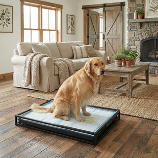 Super Absorbent Dog Pee Pads Multi Layered Leak Proof Fast Drying 30 Pack
