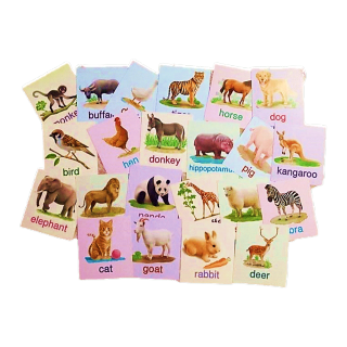โปรแถม Big card สัตว์ป่ามหาสนุก แฟลชการ์ด Flash Card Animal การ์ดคำศัพท์พื้นฐาน บัตรคำ เสริมพัฒนาการ แ