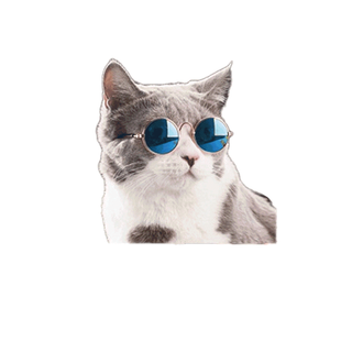 โปรโมชั่น : Cat Sunglasses Sunglasses Dog Teddy Personality Funny Headdress Pet Accessories Cat Glasses