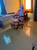 reviewRabbitPunk เก้าอี้เกมมิ่ง Gaming Chair เก้าอี้เกมมิ่งที่ เก้าอี้ราคาถูก Racing Chair เก้าอี้gaming เก้าอี้เล่นเกม comment 1
