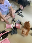 reviewRabbitPunk เก้าอี้เกมมิ่ง Gaming Chair เก้าอี้เกมมิ่งที่ เก้าอี้ราคาถูก Racing Chair เก้าอี้gaming เก้าอี้เล่นเกม comment 2