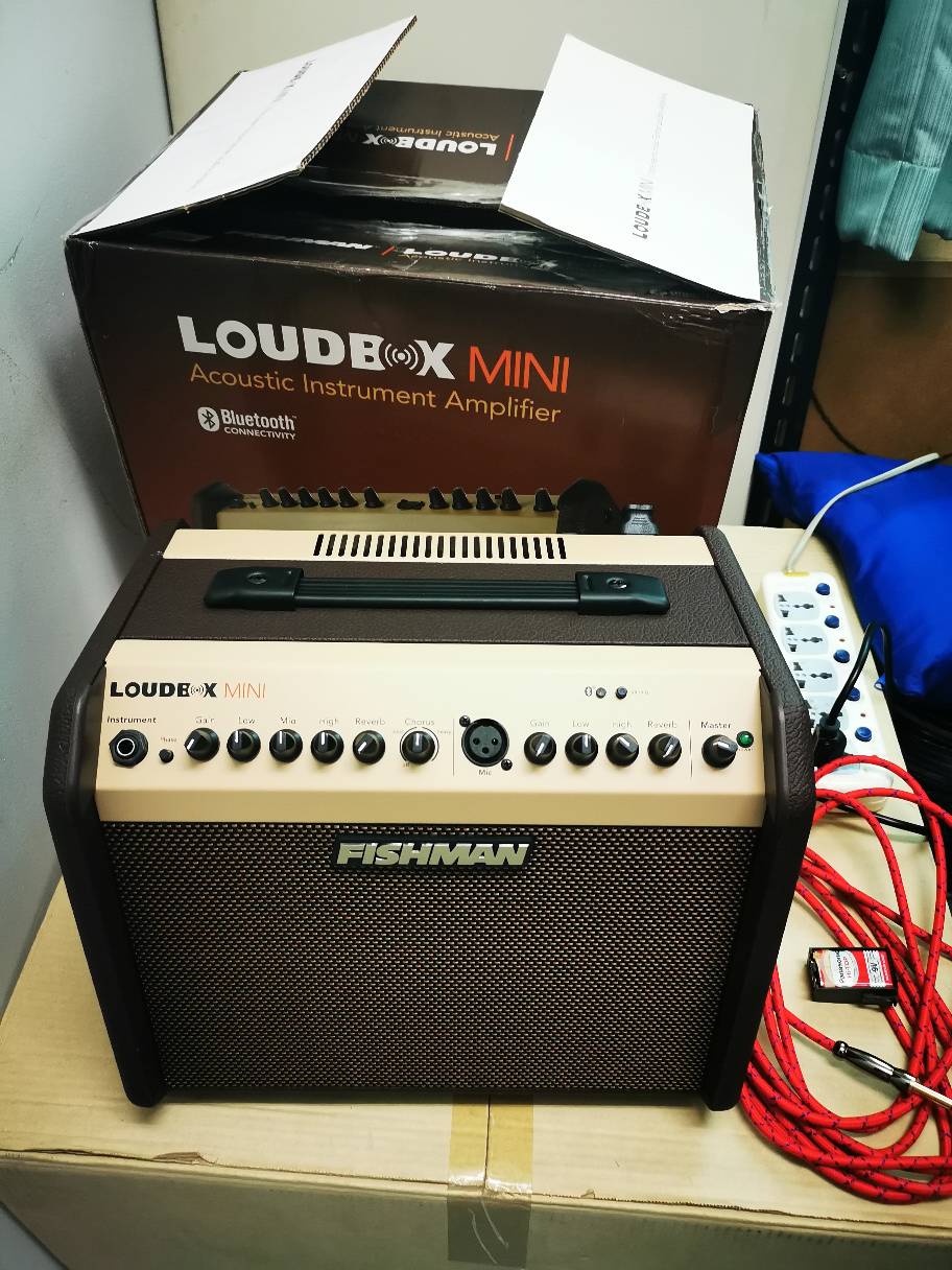 ご注意ください fishman loudbox artist アコースティックアンプ