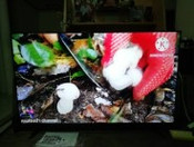 review XIAOFTV55 ลด400Xiaomi Mi TV P1 55 Android TV สมาร์ททีวี คมชัดระดับ 4K UHD ประกันศูนย์ไทย 3 ปี comment 4