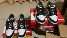 reviewDunk lowpanda comment 5