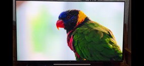 review XIAOFTV55 ลด400Xiaomi Mi TV P1 55 Android TV สมาร์ททีวี คมชัดระดับ 4K UHD ประกันศูนย์ไทย 3 ปี comment 5