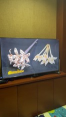 review ผ่อน0 นาน10เดือน NEW 4K TV 2022 TCL ทีวี 55 นิ้ว LED 4K UHD Google TV Wifi Smart TV OS รุ่น 55P736 Google AssistantNetflixYoutube 2G RAM 16G ROM Dolby VisionAtmos MEMC 60HZ Hand Free Voice Control comment 1