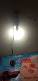 reviewร้านแนะนำLamptan LED Bulb (10,000ชม.)หลอดไฟ แลมป์ 5W,7W,9W,11W,14Wขั้ว E27 แสงขาวdaylight/แสงเหลืองwarm white comment 5