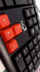 reviewร้านแนะนำGearmaster GM 918NK 39KB 502 primaxxGM 919 คียบอร์ด ราคาประหยัด keyboard USB keyboard คีย์บอร์ด ราคาถูก comment 2
