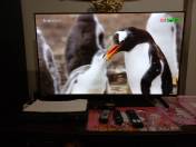 reviewToshiba TV ทีวี 43 นิ้ว Full HD Digital TV รุ่น 43S25KP Dolby Audio ทีวีดิจิตอล comment 2