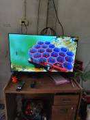 reviewToshiba TV ทีวี 43 นิ้ว Full HD Digital TV รุ่น 43S25KP Dolby Audio ทีวีดิจิตอล comment 3