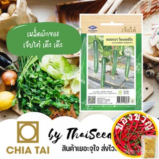 เมล็ดอวบอ้วน100%เมล็ดพันธุ์ แตงญี่ปุ่น แตงกวาญี่ปุ่นโรเบอร์โต้ 60เมล็ด ตราเจียไต๋ Japanese Cucumber Robotoเมล็ดพันธุ์Kal