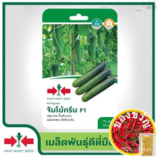 East-West Seed เมล็ดพันธุ์แตงร้าน (Cucumber seeds) จัมโบ้กรีน F1 เมล็ดพันธุ์ผัก เมล็ดพันธุ์ ผักสวนครัว  ตราศรแดงCosmosMa