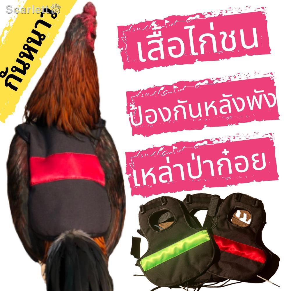 จัดส่งที่รวดเร็ว﹍✣♚เสื้ออุปกรณ์ซ้อมไก่ชนกันไก่ป่าก๋อยกัดหลัง หาซ้อมกะใครเค้าก้อให้แต่ทับปาก พม่าก็กล