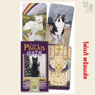 ไพ่แท้ พร้อมส่ง Tarot of the Pagan Cats 9780738726700 by Lo Scarabeo ไพ่แมว แมว