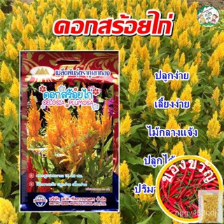 เมล็ดพันธุ์เมล็ดดอกสร้อยไก่ ปริมาณ400 เมล็ด เมล็ดพันธุ์ดอกไม้ เมล็ดพันธุ์ดอกสร้อยไก่ ดอกสร้อยไก่  เมล็ดดอกไม้ ตราภูเขาทอ