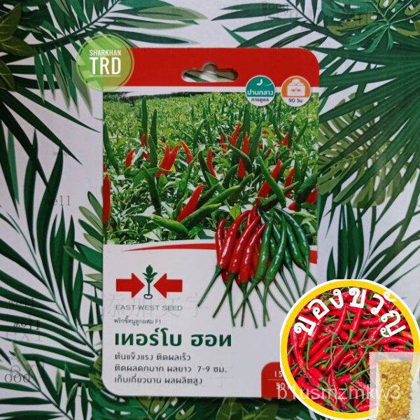 MINI Pack 150เมล็ด/เขียน Turbo Hot F1แทนการใช้ F1 HYBRID Hot Pepper East West Seed50. เมล็ด (ไม่สด P