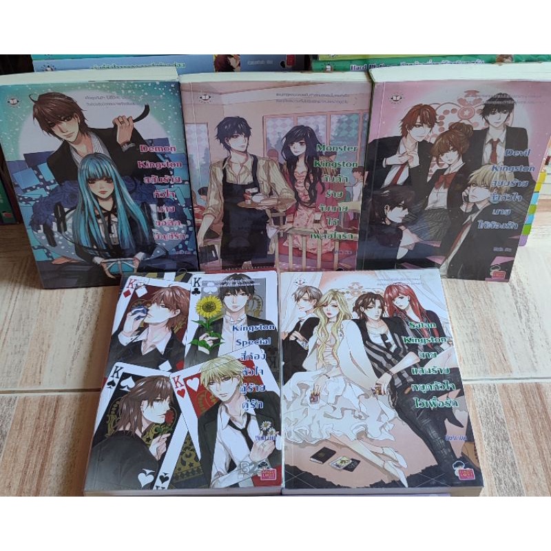 นิยายแจ่มใสเซ็ต Kingston/Demon Kingston/Satan Kingston/Monster Kingston/Devil Kingston/Kingston Spec