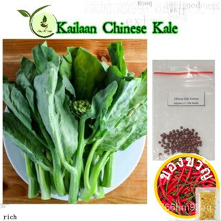 เมล็ด Seeds50จีนคะน้า Kailaan จีน Brocolli 100 (ไม่ใช่พืชที่มีชีวิต) Kale 6TUD