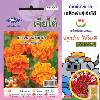 เมล็ดพันธุ์CHIATAI  เมล็ดพันธุ์ดอกไม้ เจียไต๋ ดาวเรืองฝรั่งเศส F1#F006 ดาวเรือง เมล็ดพันธุ์ ดอกไม้ เมล็ดดอกไม้ ตราเครื่อ