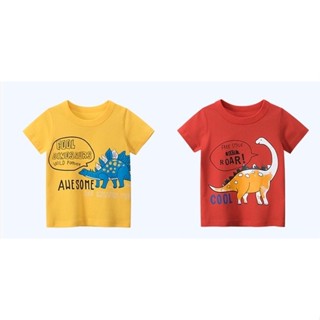 เสื้อยืดเด็ก ลายไดโนเสาร์