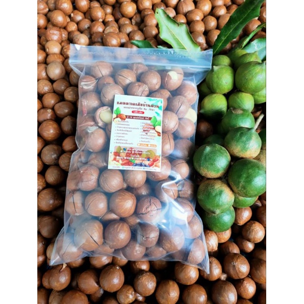 แมคคาเดเมียดิบกระเทาะรอย🌰(ยังไม่ผ่านการอบลมร้อน) 1 กิโล