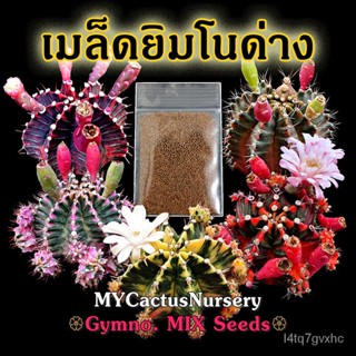 เมล็ด เมล็ดยิมโนด่าง จากพ่อและแม่พันธุ์ชื่อดัง Gymnocalycium Variegated Seeds เมล็ดยิมโนด่างมิกซ์ เมล็ด Gymn งอก