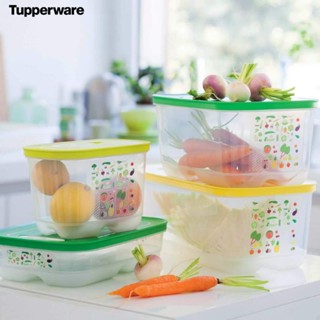 Tupperware กล่องผักรุ่นที่ดีที่สุด กล่องกรีนสมาร์ท มีหลายขนาดความจุ เก็บผักได้สดนาน  (1ใบ)