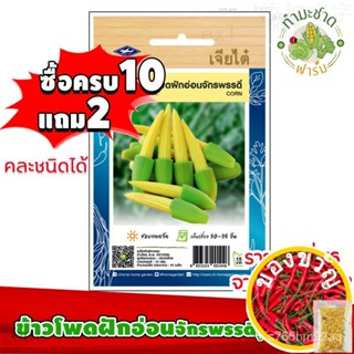 เมล็ดอวบอ้วน100%[10แถม2] เจียไต๋ เมล็ดพันธุ์ ข้าวโพดฝักอ่อนจักรพรรดิ์ corn ประมาณ 40 เมล็ด ตราเจียไต๋ เมล็ดพันธุ์ผัก เมล