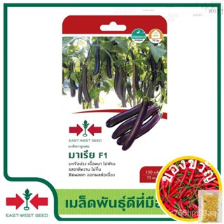 East-West Seed เมล็ดพันธุ์มะเขือยาว (EGGPLANT)   มะเขือยาว(สีม่วง)F1 มาเรีย  เมล็ดพันธุ์ผัก เมล็ดพันธุ์ ผักสวนครัว ตราศร