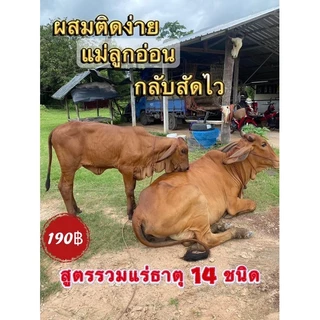 เทพบุตร โปรพลัส 1ถุง สูตรรวมแร่ธาตุบำรุงสัตว์14ชนิด
