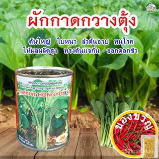 เมล็ดผักกาดกวางตุ้ง คัดพิเศษ หงษ์หยก A1 ขนาด100กรัมและ10กรัม ตราภูเขาทอง เมล็ดผักกาด เมล็ดกวางตุ้งใบ เมล็ดเขียวกวางตุ้ง