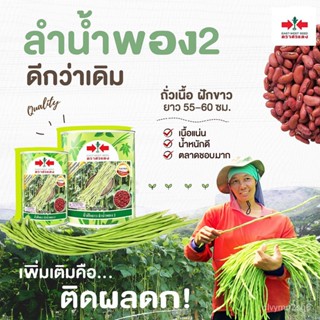 เมล็ด ใหม่ เมล็ดถั่วฝักยาว ลำน้ำพอง2  ตราศรแดง ขนาด100กรัมและ500กรัม คละถั่วฝักยาว ถั่วฝักยาว ถั่วฝั คละ