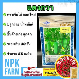 เมล็ดอวบอ้วน100%ผักซอง เจียไต๋ แตงกวา จำนวน 55 เมล็ด/ซอง เมล็ดพันธุ์ ลอตใหม่ งอกดี ปลูกง่าย ขึ้นค้างเก่ง ลูกดก น้ำหนักดี