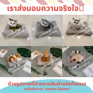 ถ่าน Limited Edition!! ตุ๊กตาดูดกลิ่น ตุ๊กตาดับกลิ่น ตุ๊กตาถ่านดูดกลิ่น ตุ๊กตาถ่านดับกลิ่น ตุ๊กตาหมาแมวดูดกลิ่น