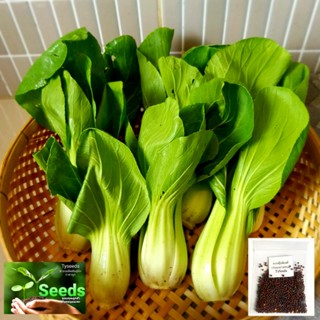 เมล็ดพันธุ์ กวางตุ้งฮ่องเต้ 1,000 เมล็ด [ 10แถม2 ]คละได้