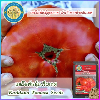 เมล็ด งอกมะเขือเทศ (Karkiano Tomato Seeds) งอก