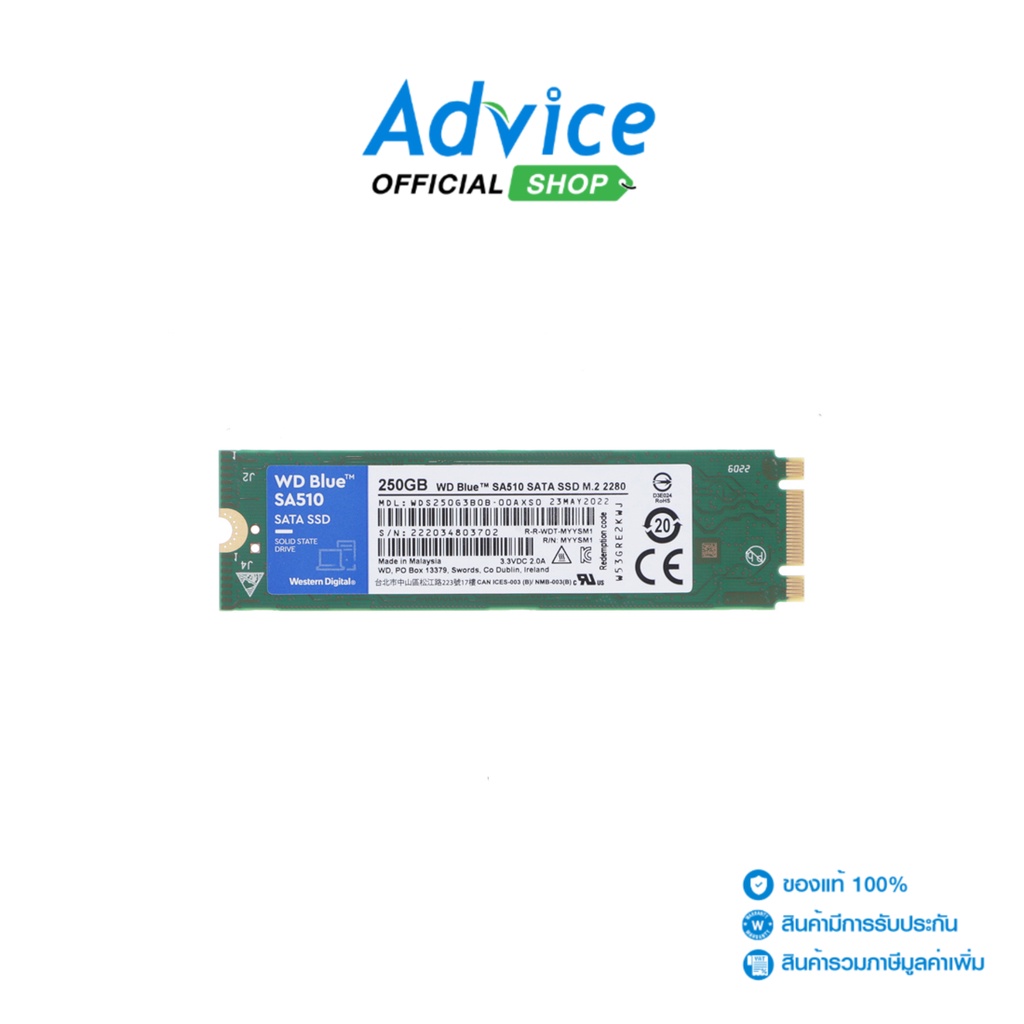 WD SSD เอสเอสดี  250 GB M.2 BLUE 3D NAND (WDS250G3B0B) SATA M.2 2280 - A0144583