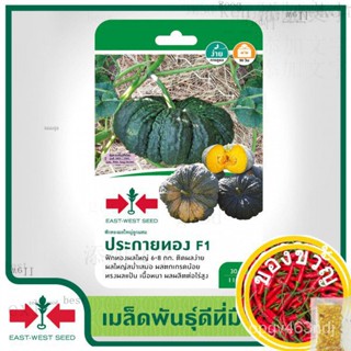 East-West Seed เมล็ดพันธุ์ฟักทอง (Pumpkin seeds) ประกายทอง F1  เมล็ดพันธุ์ผัก เมล็ดพันธุ์ ผักสวนครัว  ตราศรแดงed TKFT