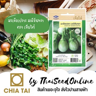 เมล็ด CTF1 แนะนำ งอก มะเขือเปราะมณีจันทรา ตราเจียไต๋ Eggplant Maneechantra งอก