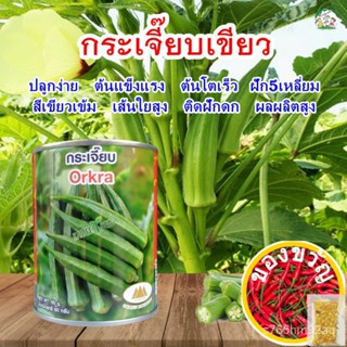 เมล็ดอวบอ้วน100%，ไทยในสต็อกพร้อมส่งเมล็ดกระเจี๊ยบเขียว Okra ตราภูเขาทอง ขนาด60กรัมและ10กรัม เมล็ดกระเจี๊ยบ เมล็ดพันธุ์กร