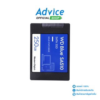 WD 250 GB SSD เอสเอสดี SATA  BLUE (WDS250G3B0A) 3D NAND