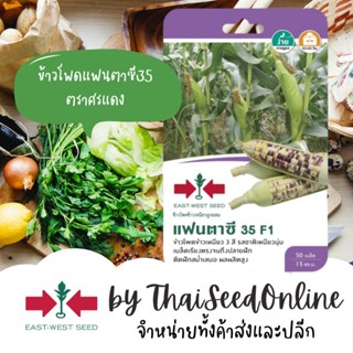 เมล็ด GGEW งอกซฟ ข้าวโพดข้าวเหนียวแฟนตาซี35 50 เมล็ด ตราศรแดง Corn งอก