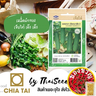 เมล็ดอวบอ้วน100%เมล็ดพันธุ์ แตงกวา เขียวมาลัย2 ตราเจียไต๋ Cucumberเมล็ดพืชคุณภาพสูงCabbageMixCosmosMixedFlowerGrassRoseW